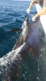 Fujairah Report Photo 2